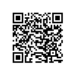 SIT1602BI-33-28S-74-176000X QRCode