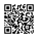 T-100-080 QRCode