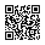 T-100-170 QRCode