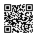 T101S1TKZQE QRCode