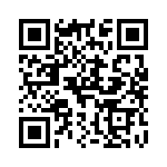 T10C110E QRCode