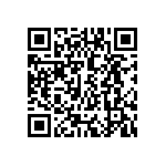 T21-2-20-0A-01-31A-V QRCode