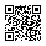 T29-22303-1 QRCode