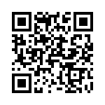 T29-8056-1 QRCode