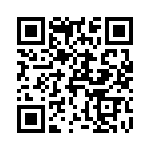 T29-9153-1 QRCode