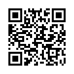 T30904510000G QRCode