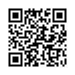 T37040-04-0 QRCode