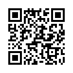 T38000-10-0 QRCode