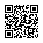 T38000-13-0 QRCode