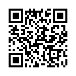 T38007-13-0 QRCode