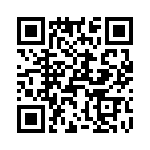 T38010-06-0 QRCode