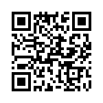 T38011-02-0 QRCode