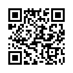 T38012-12-0 QRCode