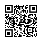 T38013-12-0 QRCode