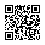 T38013-16-0 QRCode