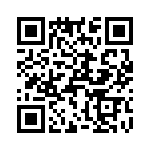 T38013-25-0 QRCode