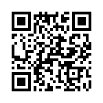 T38017-01-0 QRCode