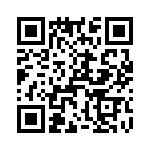 T38018-13-0 QRCode