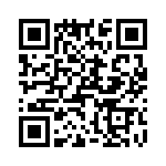 T38022-04-0 QRCode