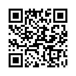 T38022-07-0 QRCode