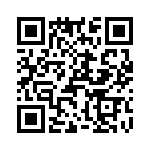 T38022-10-0 QRCode