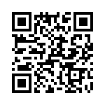 T38022-12-0 QRCode