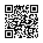 T38025-20-0 QRCode