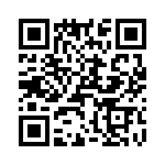 T38032-01-0 QRCode