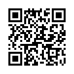 T38040-10-0 QRCode