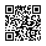 T38041-03-0 QRCode