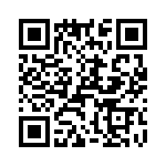 T38042-13-0 QRCode