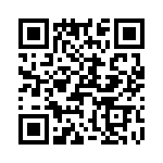 T38045-06-0 QRCode