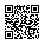 T38045-13-0 QRCode