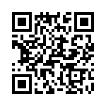 T38048-09-0 QRCode