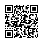 T38053-10-0 QRCode