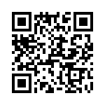 T38053-13-0 QRCode