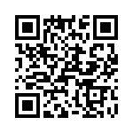 T38055-01-0 QRCode