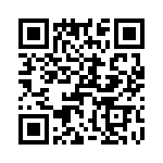 T38058-05-0 QRCode