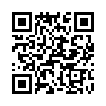 T38058-09-0 QRCode