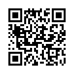 T38061-09-0 QRCode