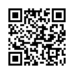 T38065-06-0 QRCode