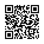 T38068-12-0 QRCode