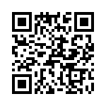 T38073-23-0 QRCode