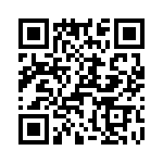 T38100-10-0 QRCode