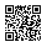 T38100-12-0 QRCode