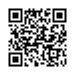 T38100-24-0 QRCode