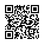 T38103-20-0 QRCode