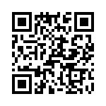 T38108-10-0 QRCode