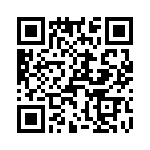 T38110-10-0 QRCode