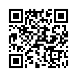 T38113-04-0 QRCode